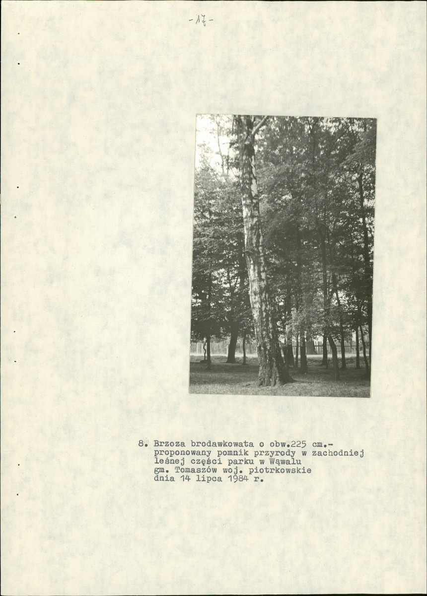 EP - Ewidencja parkowa, skan nr 22