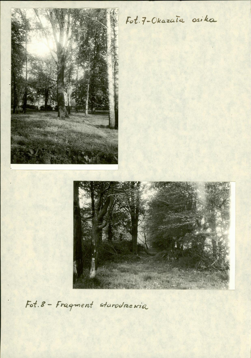 EP - Ewidencja parkowa, skan nr 20