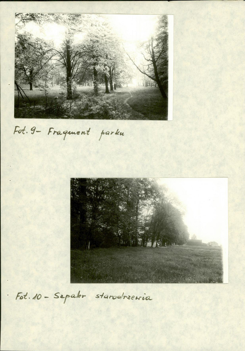 EP - Ewidencja parkowa, skan nr 21