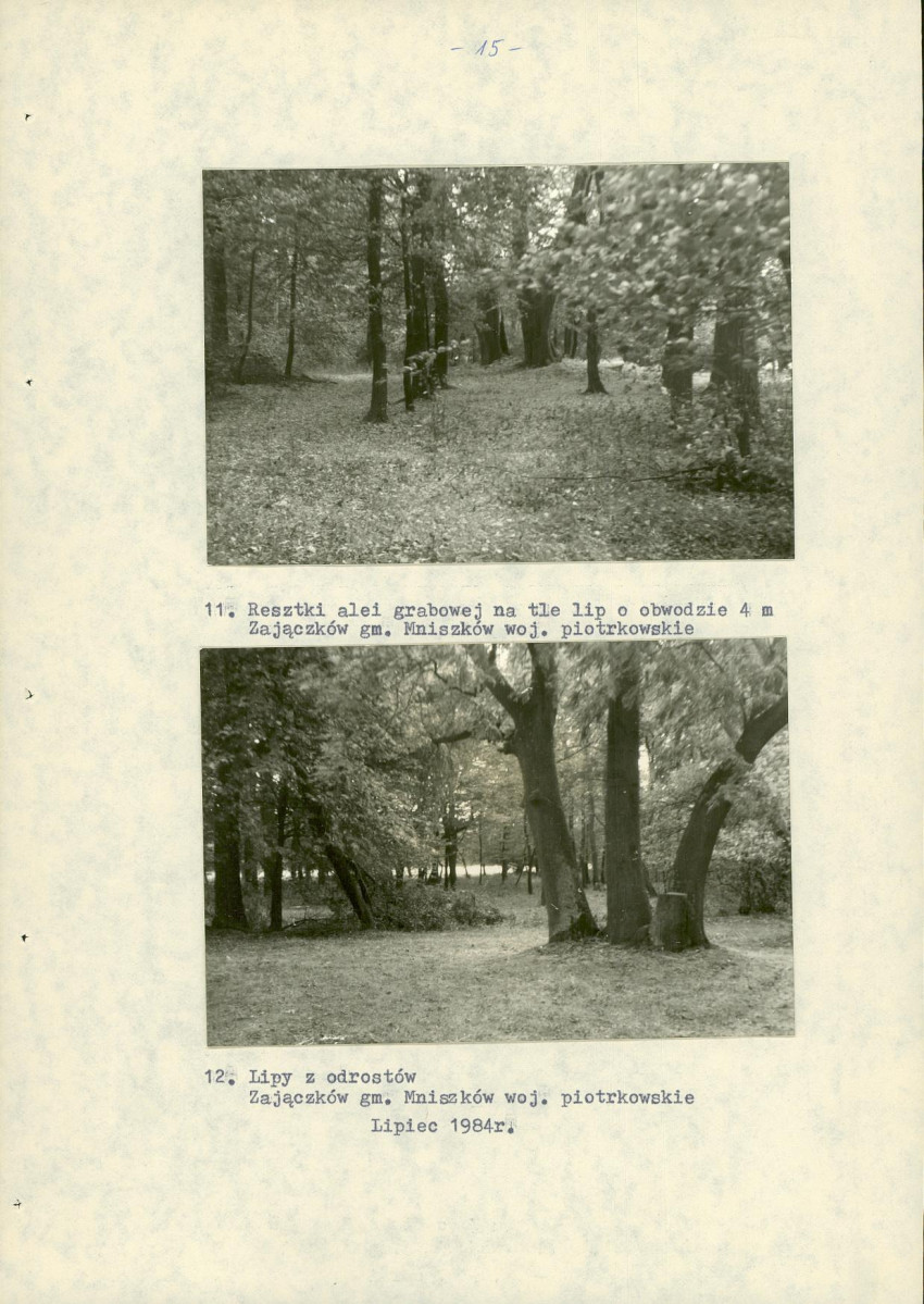 Ewidencja parkowa, skan nr 23