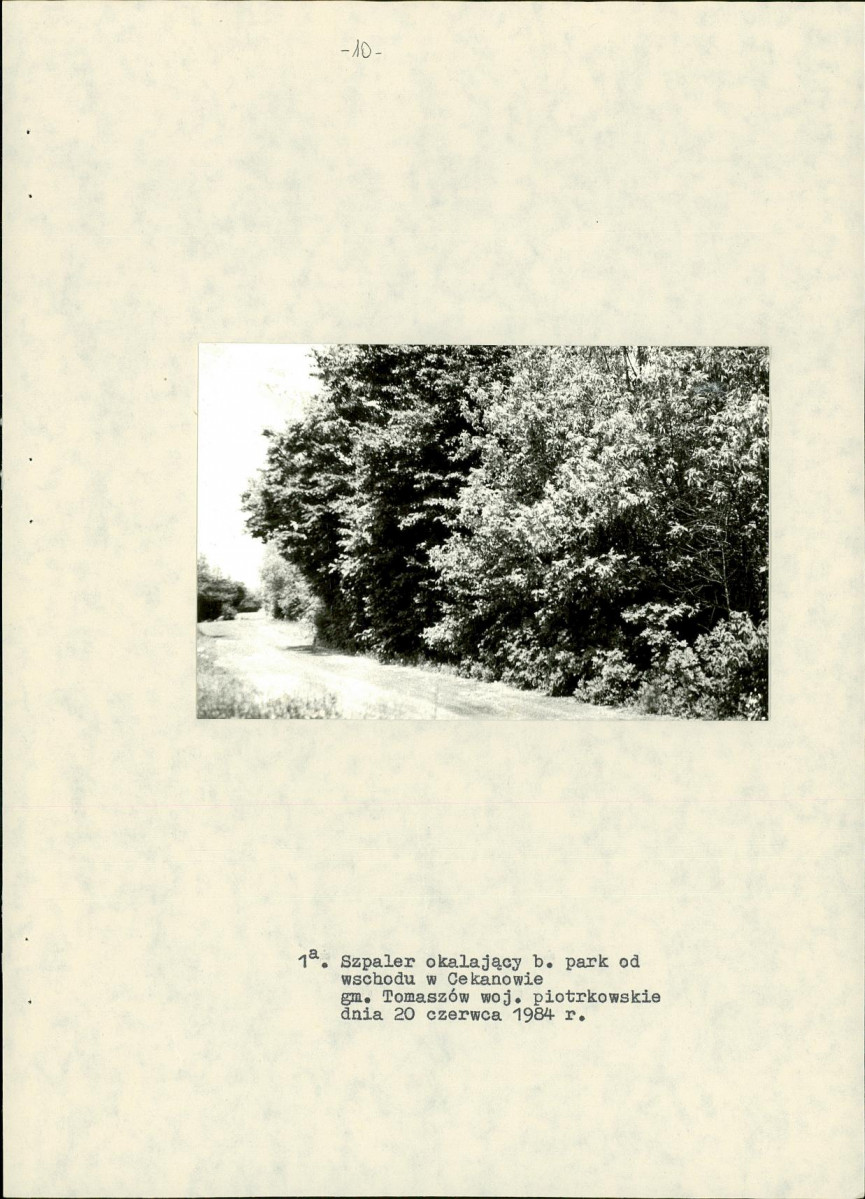 EP - Ewidencja parkowa, skan nr 15