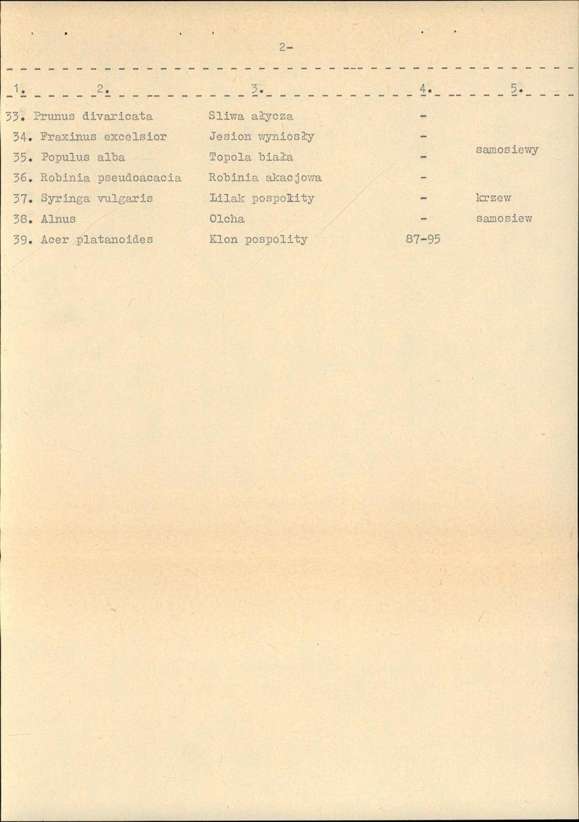 EP - Ewidencja parkowa, skan nr 13