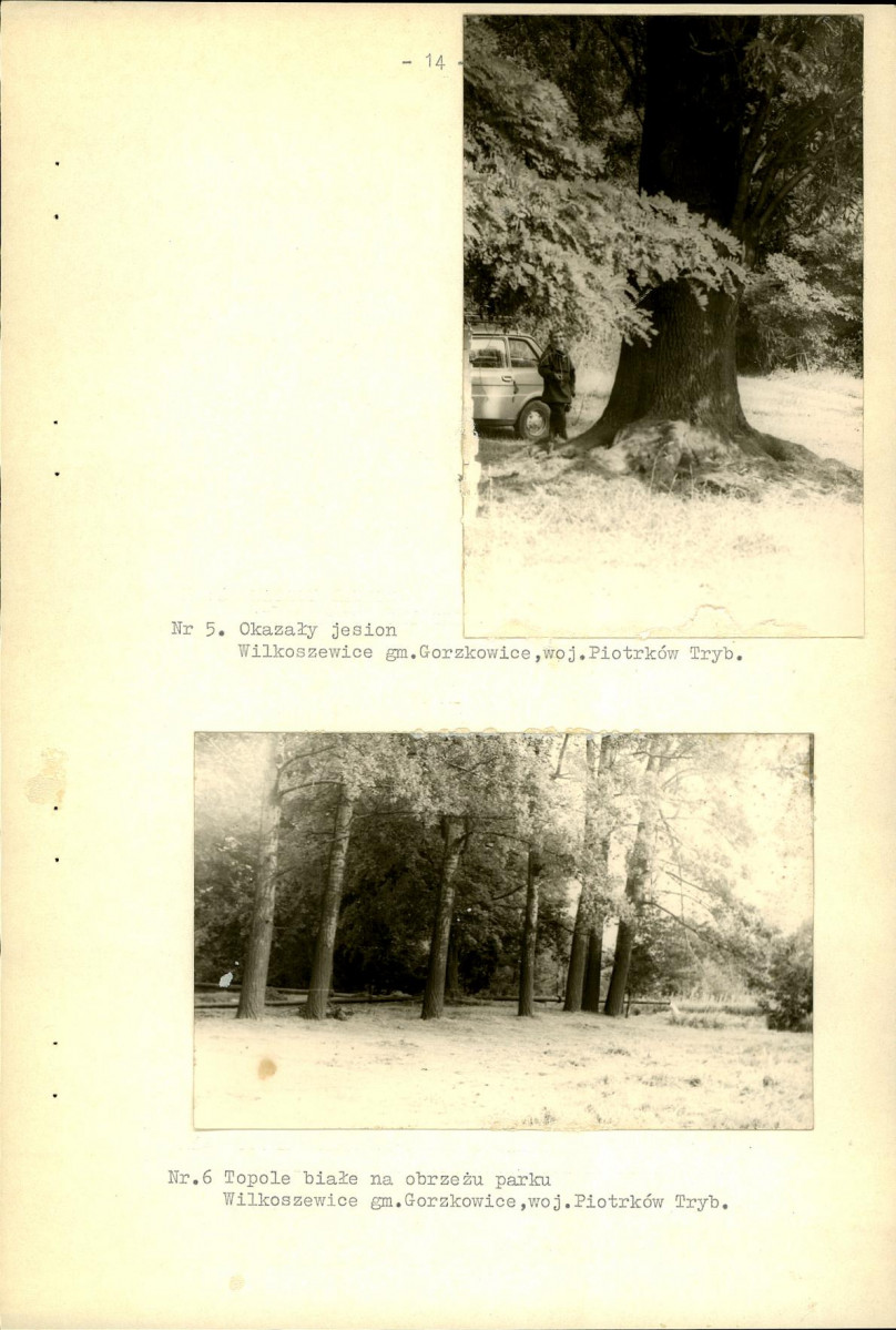 EP - Ewidencja parkowa, skan nr 21