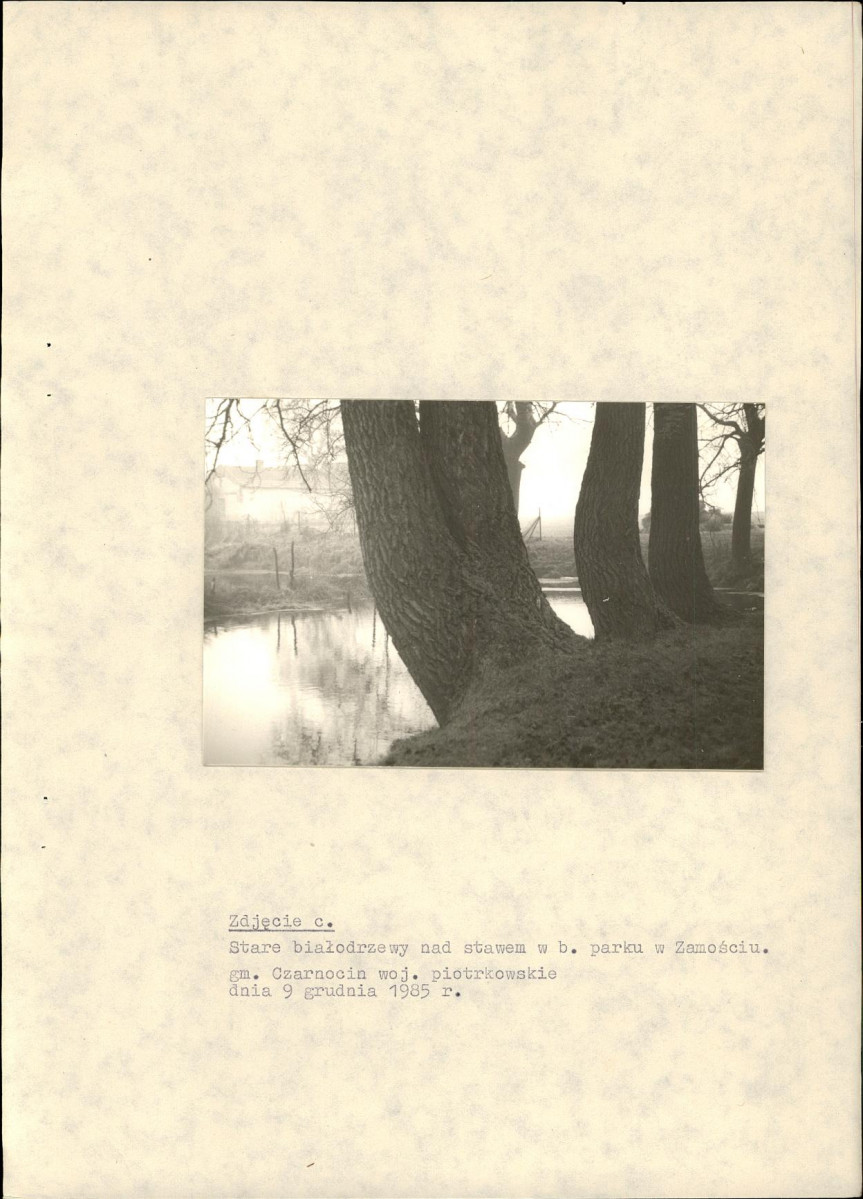 EP - Ewidencja parkowa, skan nr 23