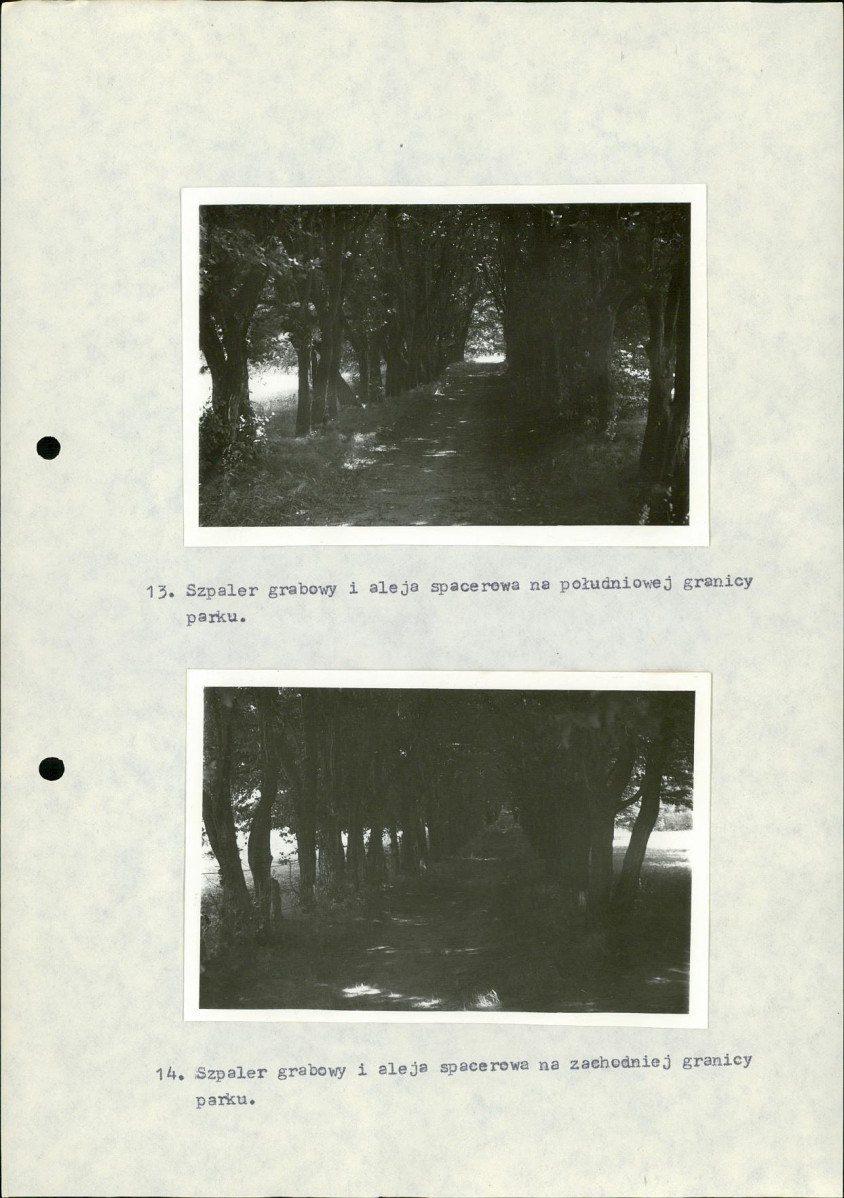 Ewidencja parkowa, skan nr 31