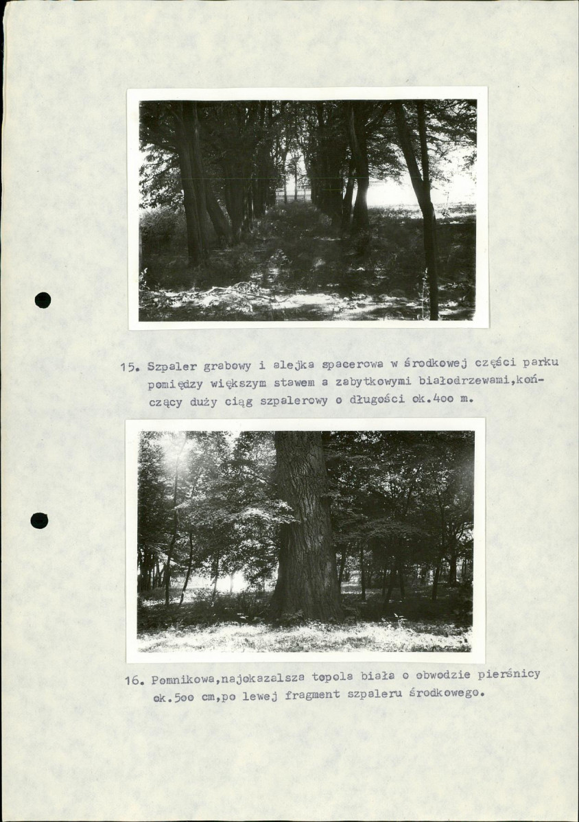 Ewidencja parkowa, skan nr 32