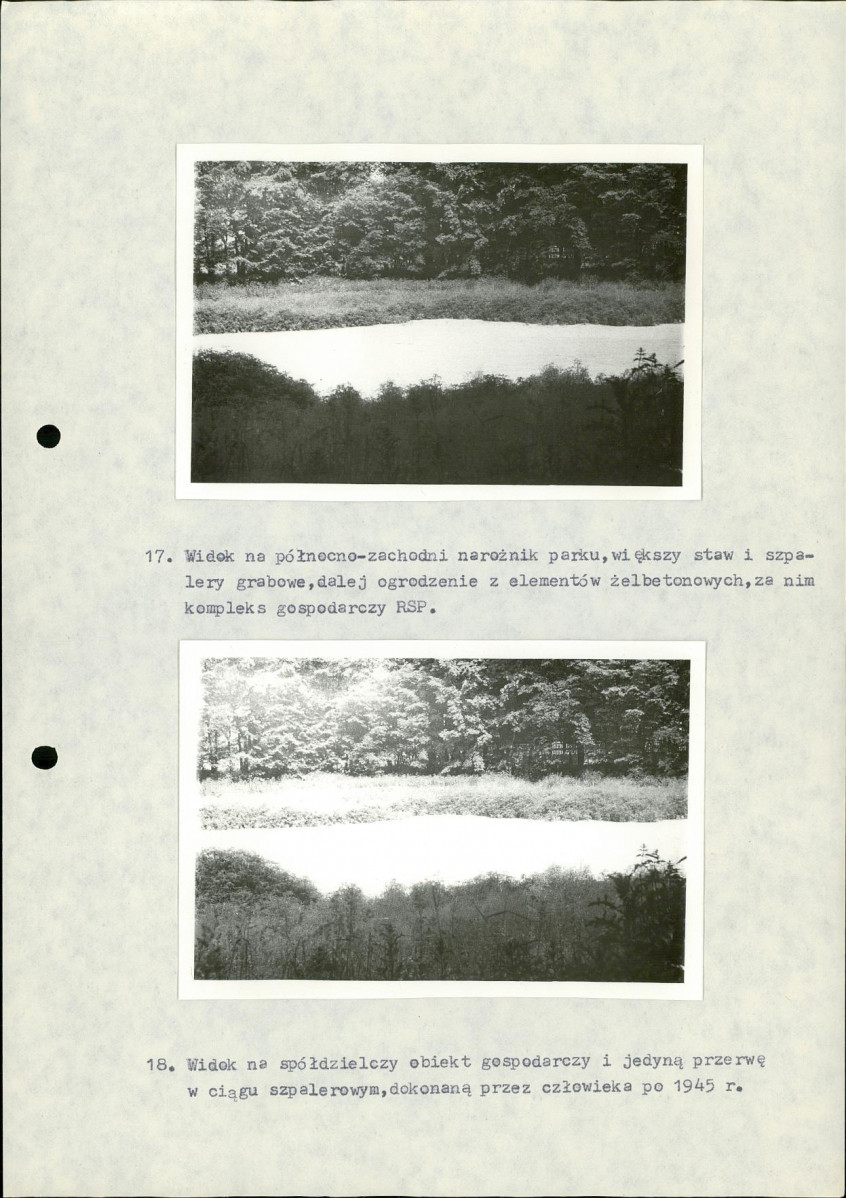 Ewidencja parkowa, skan nr 33