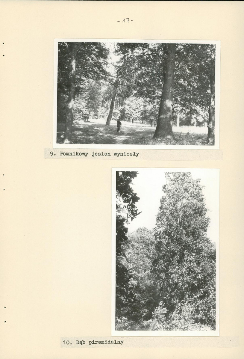 Ewidencja parkowa, skan nr 23