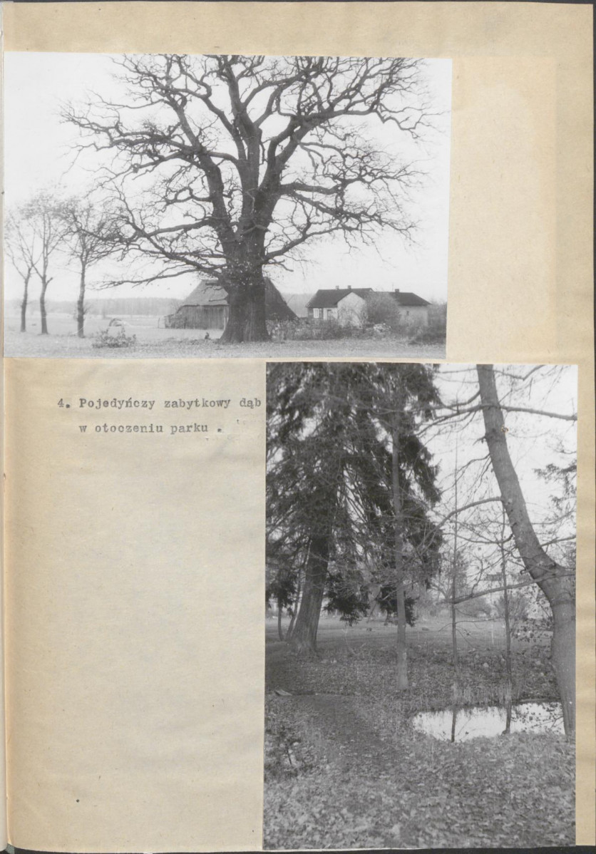 Ewidencja parkowa, skan nr 21