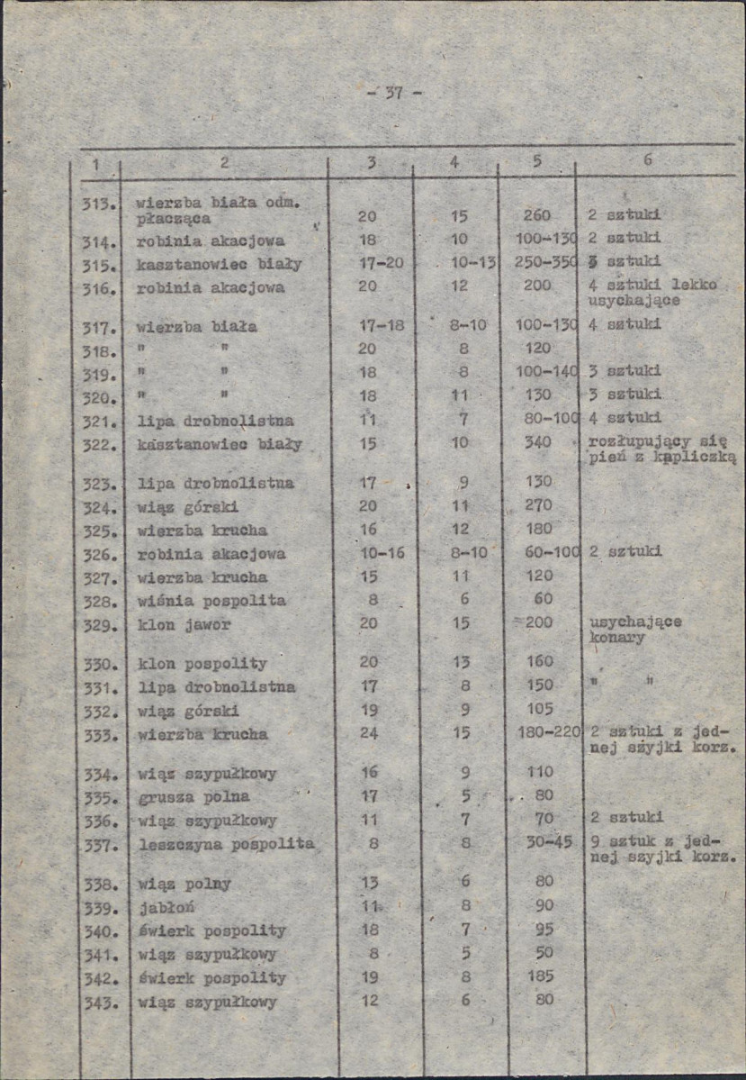 EP - Ewidencja parkowa, skan nr 48