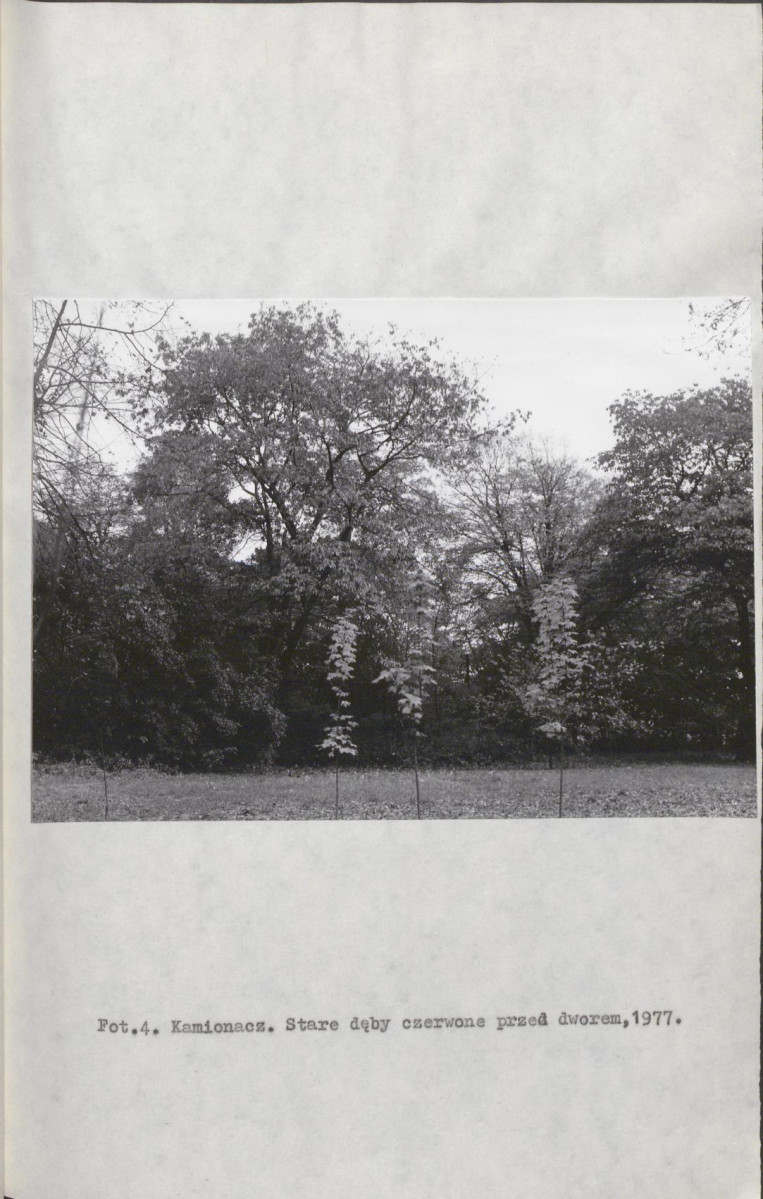 Ewidencja parkowa, skan nr 40