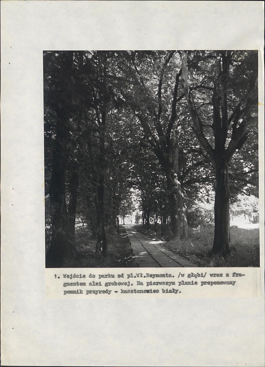 EP - Ewidencja parkowa, skan nr 66