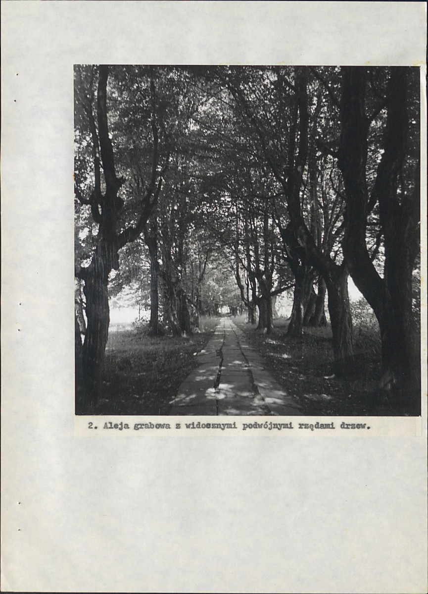 EP - Ewidencja parkowa, skan nr 67