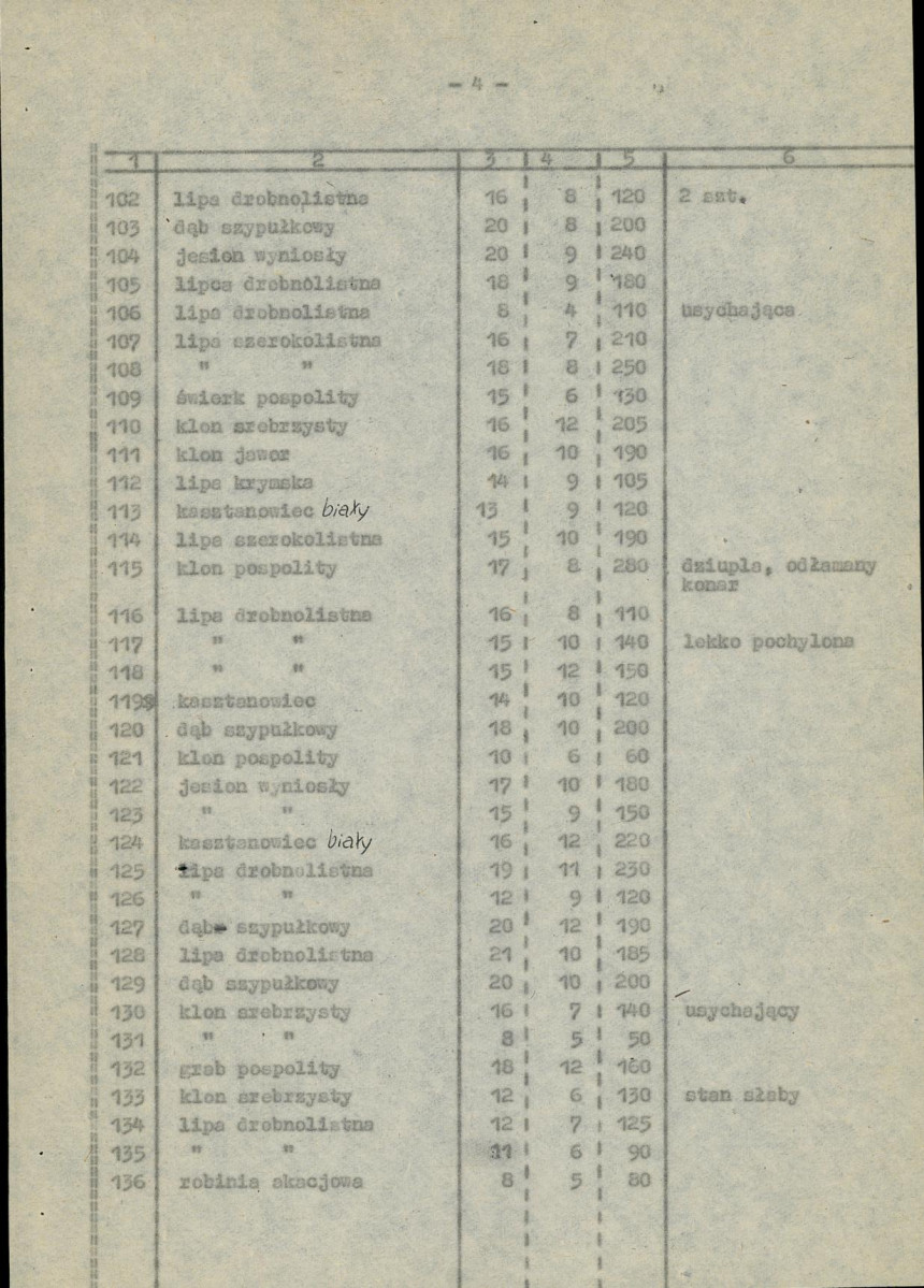 Ewidencja parkowa, skan nr 46