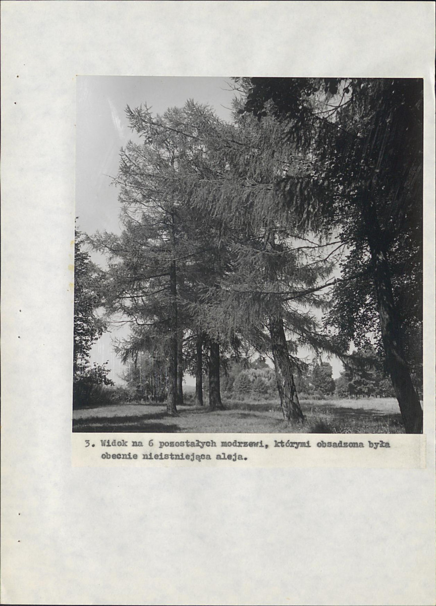 EP - Ewidencja parkowa, skan nr 68