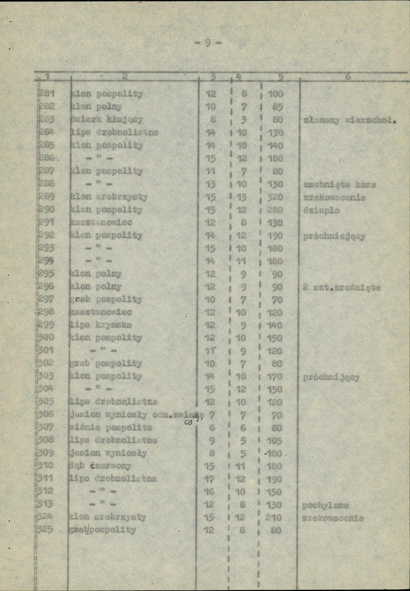Ewidencja parkowa, skan nr 51