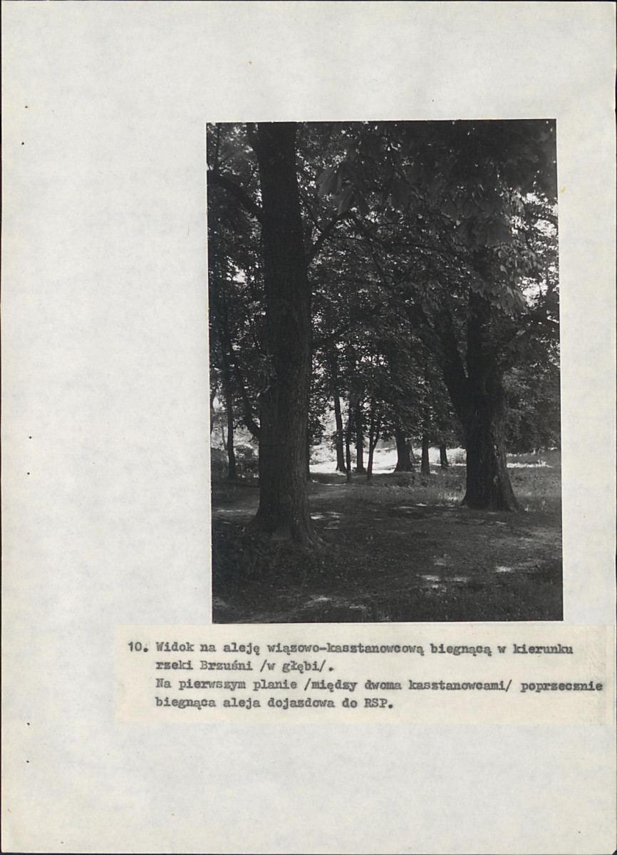 EP - Ewidencja parkowa, skan nr 75