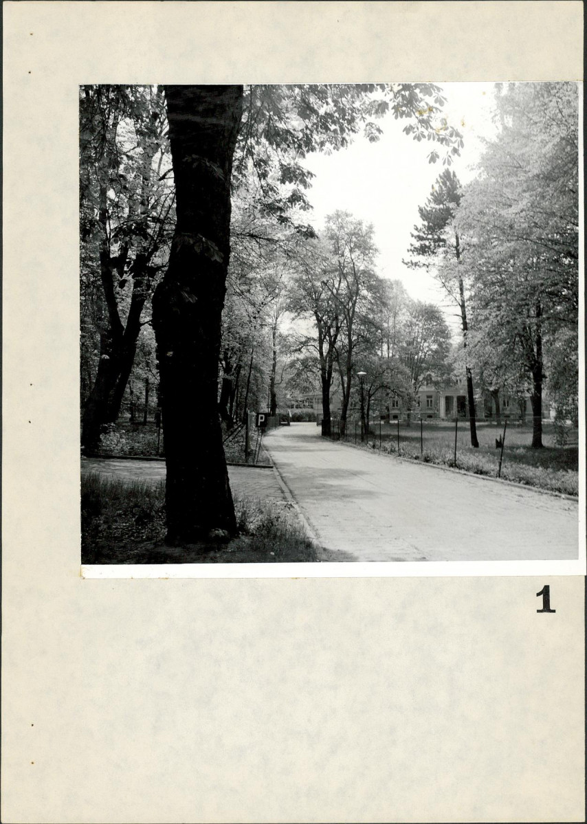 Ewidencja parkowa, skan nr 63