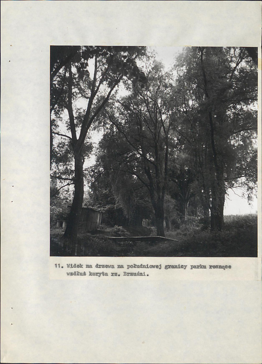 EP - Ewidencja parkowa, skan nr 76