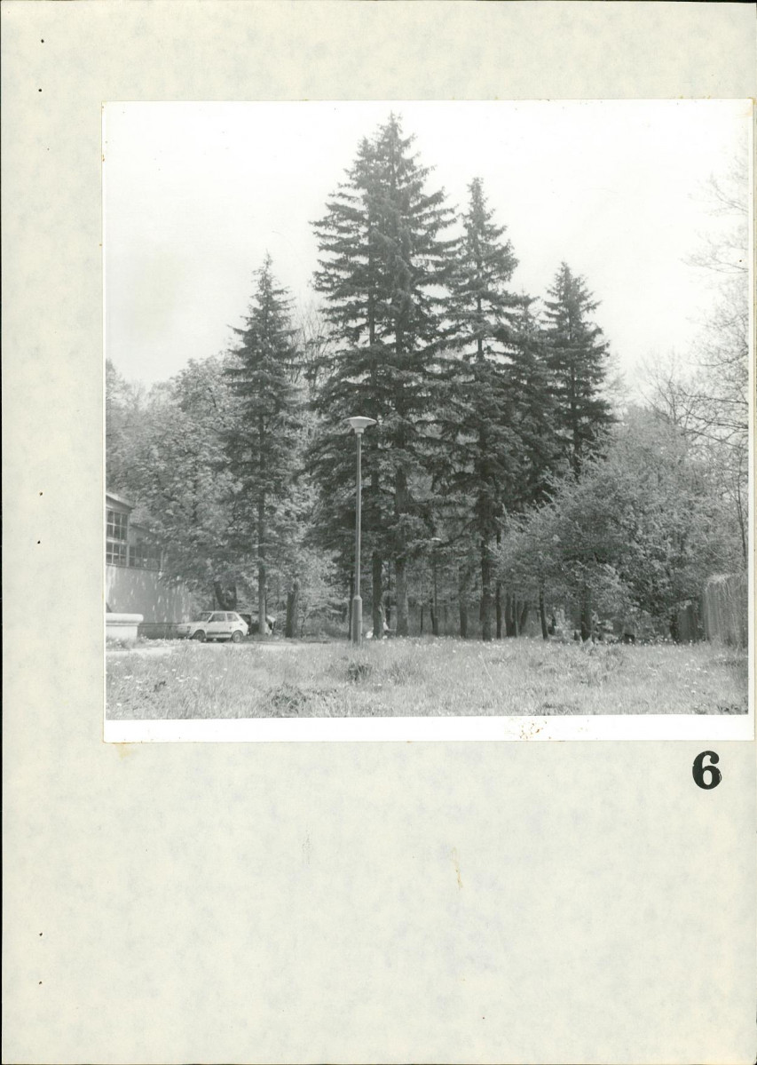 Ewidencja parkowa, skan nr 68
