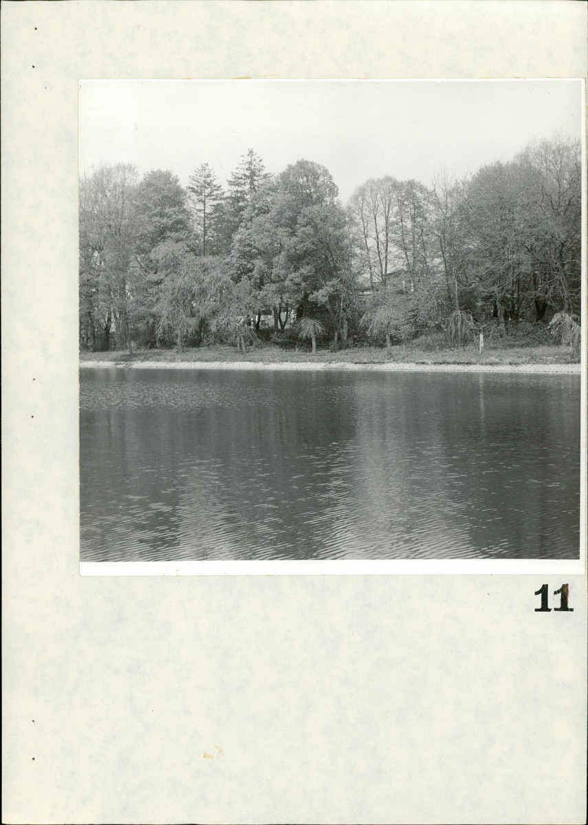 Ewidencja parkowa, skan nr 73