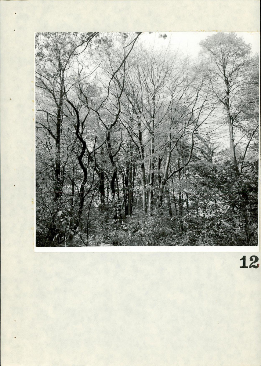 Ewidencja parkowa, skan nr 74