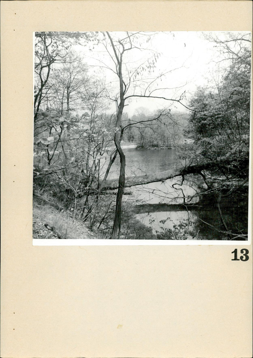 Ewidencja parkowa, skan nr 75