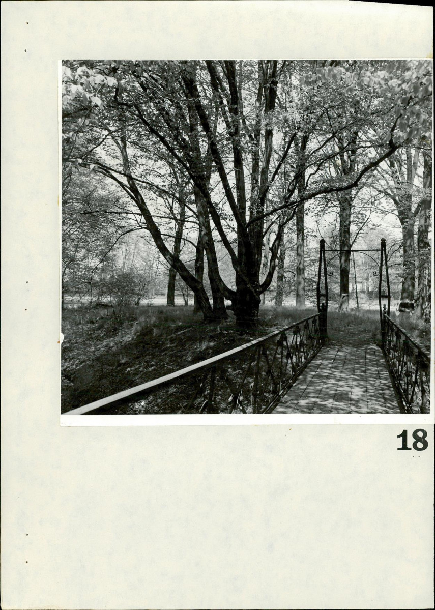 Ewidencja parkowa, skan nr 80