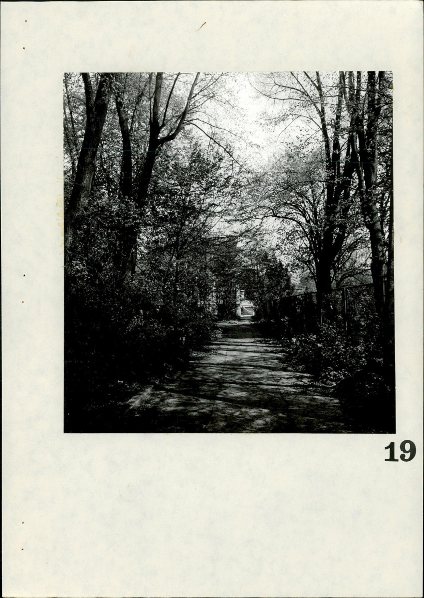 Ewidencja parkowa, skan nr 81