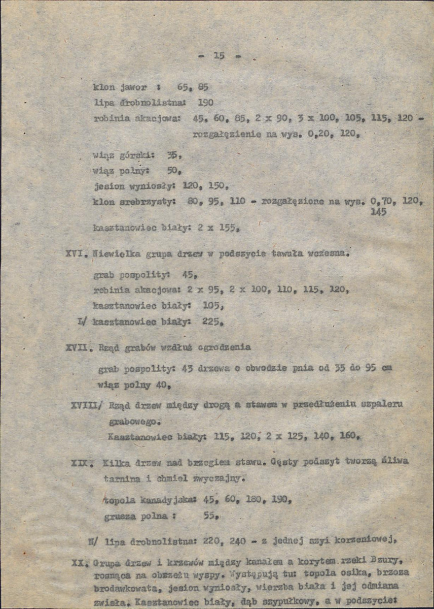 Ewidencja parkowa, skan nr 21