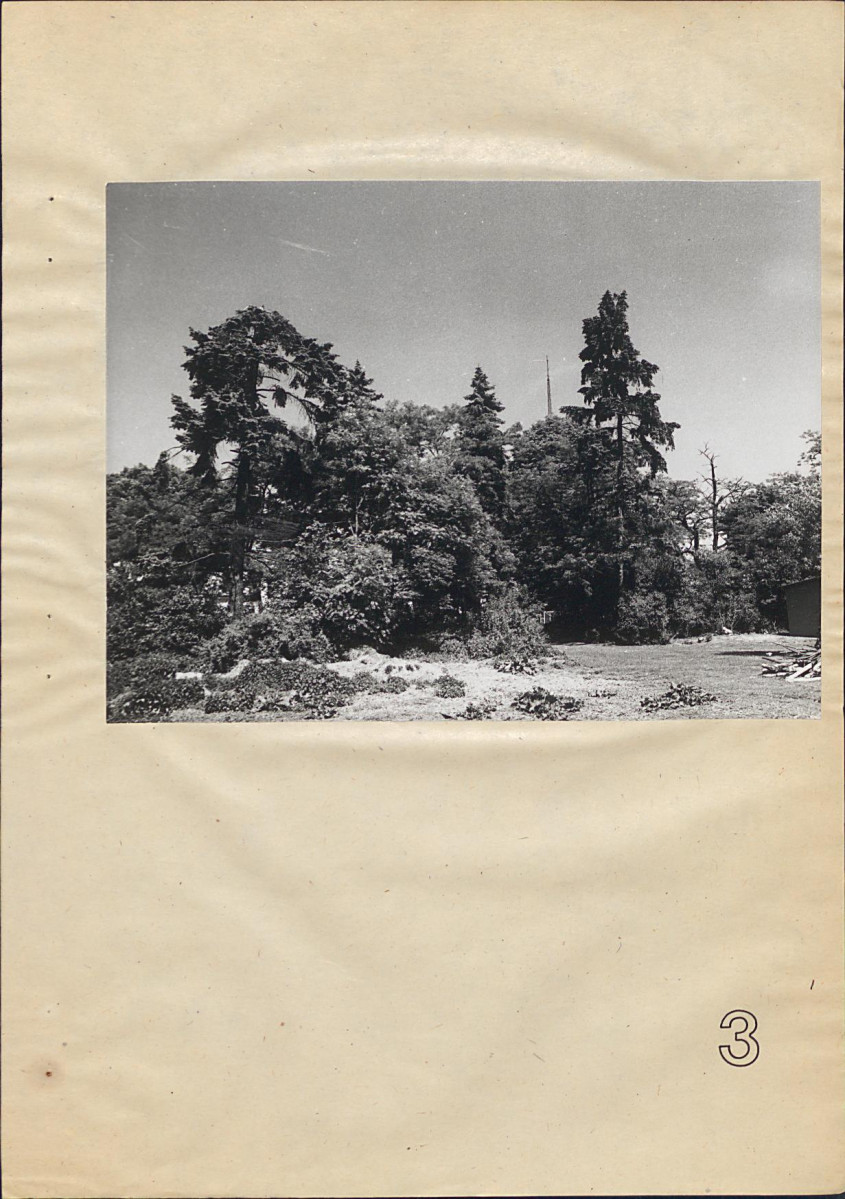 Ewidencja parkowa, skan nr 30