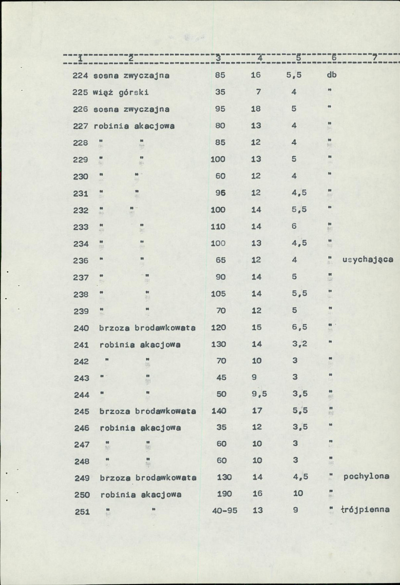EP - Ewidencja parkowa, skan nr 25