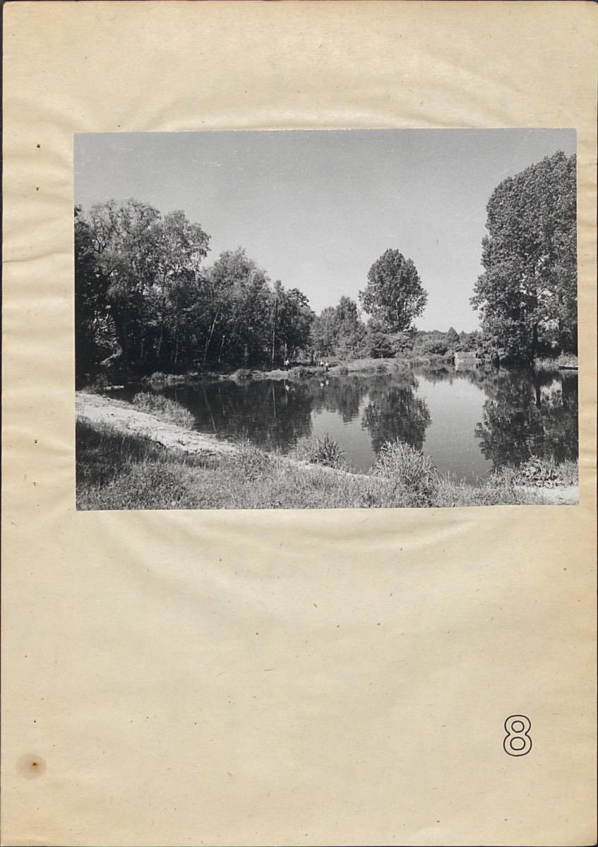 Ewidencja parkowa, skan nr 35