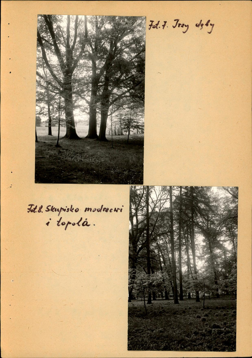 EP - Ewidencja parkowa, skan nr 21