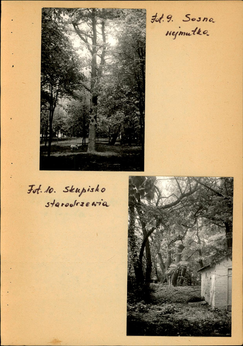 EP - Ewidencja parkowa, skan nr 22