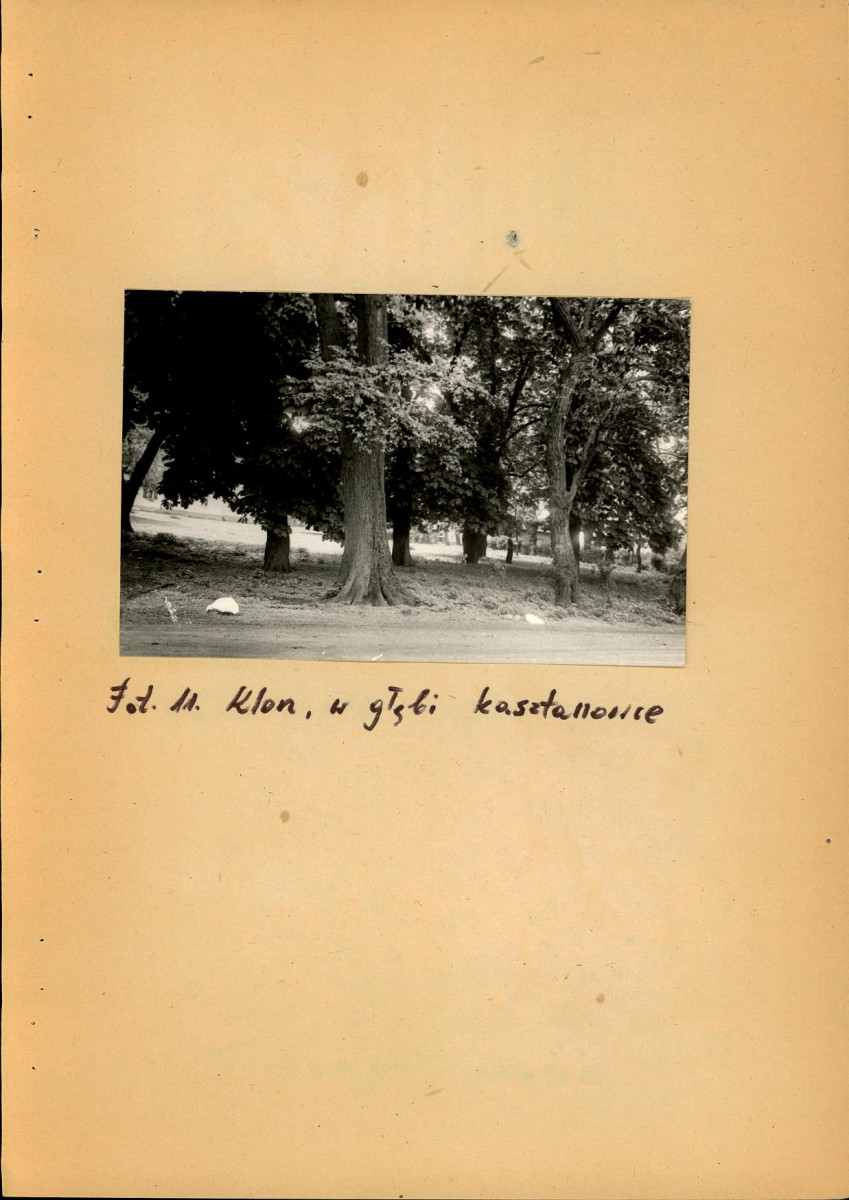 EP - Ewidencja parkowa, skan nr 23