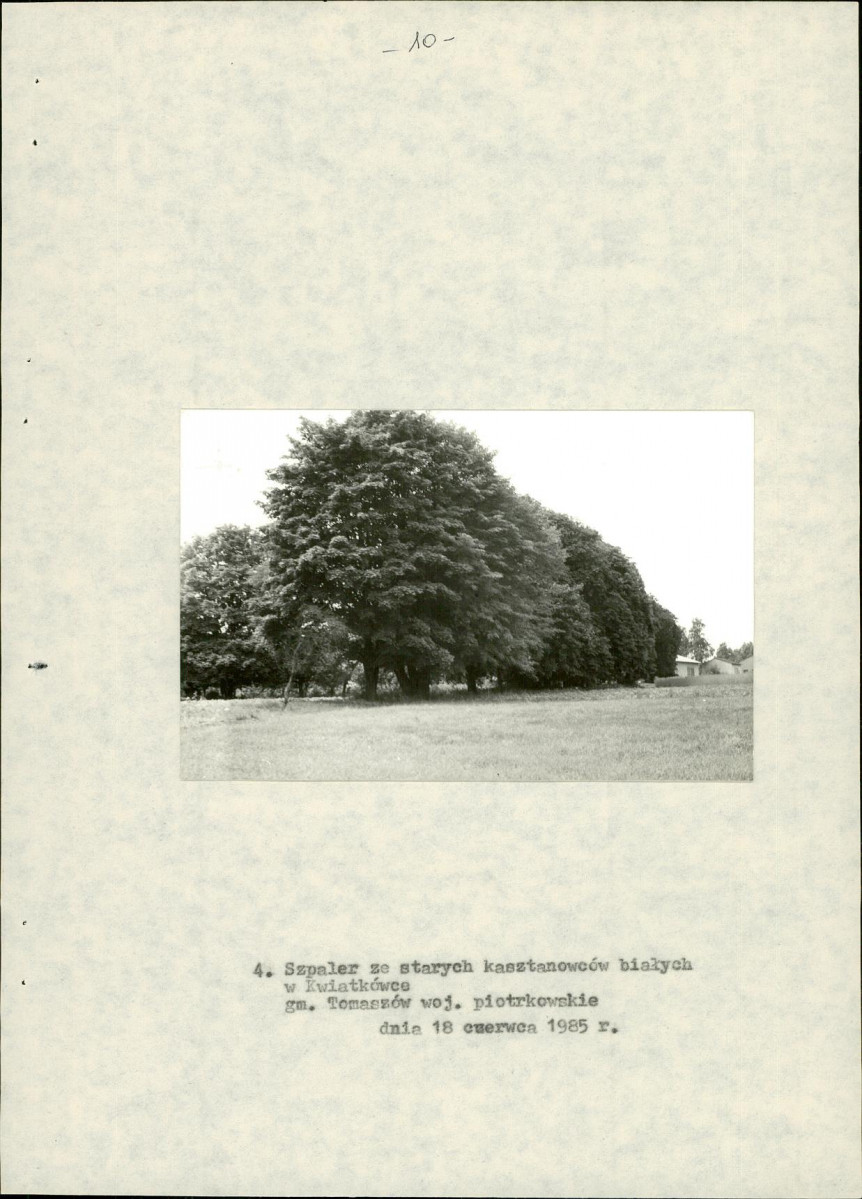 EP - Ewidencja parkowa, skan nr 18