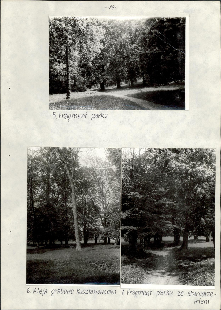 EP - Ewidencja parkowa, skan nr 18