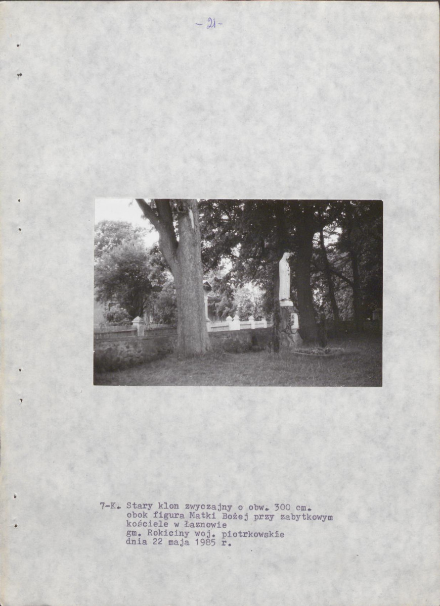 EP - Ewidencja parkowa, skan nr 30