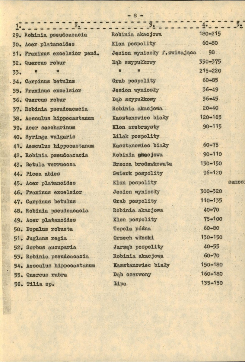 EP - Ewidencja parkowa, skan nr 16