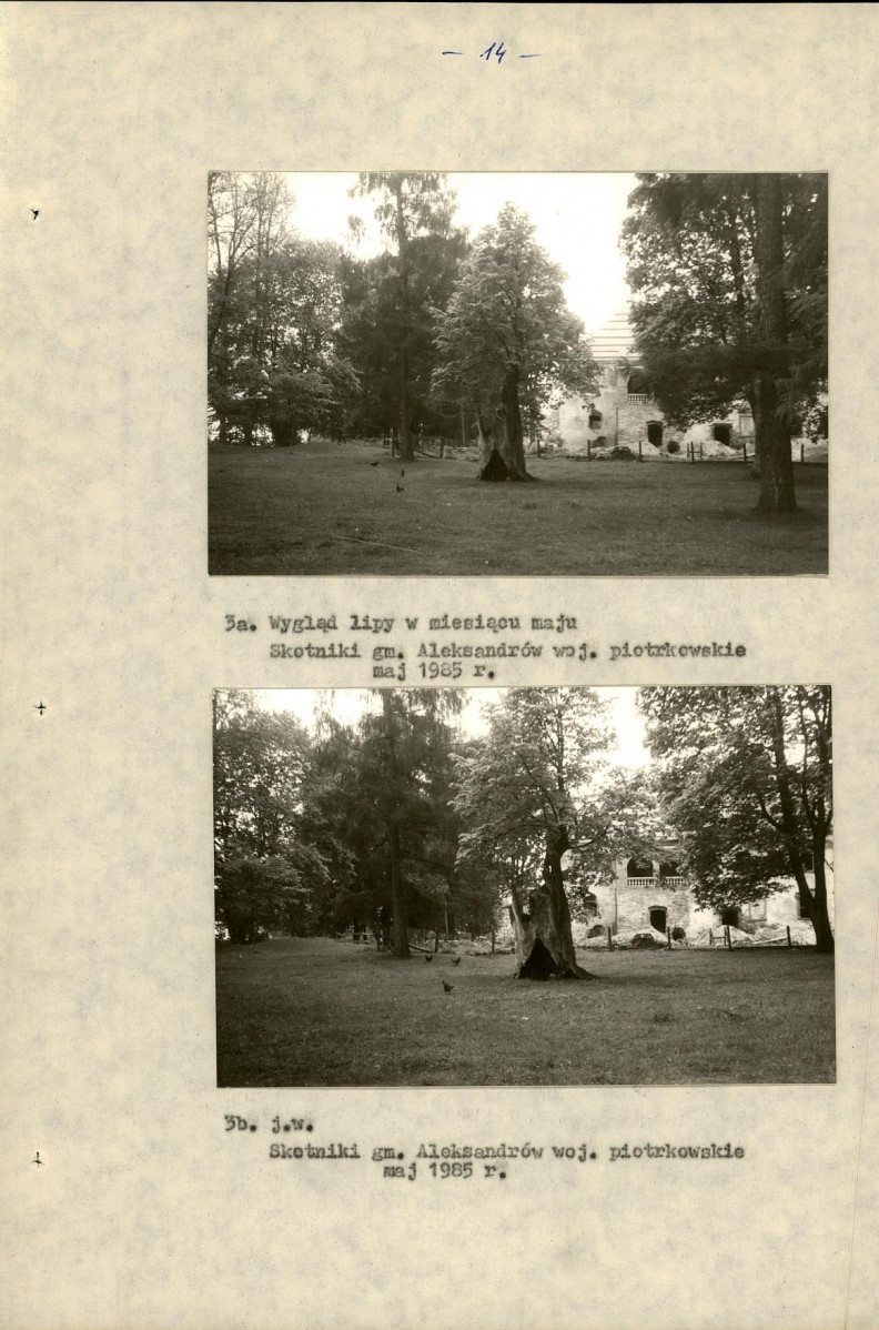 EP - Ewidencja parkowa, skan nr 22