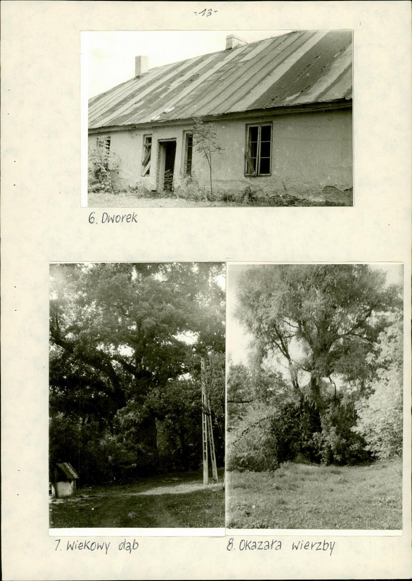 EP - Ewidencja parkowa, skan nr 17
