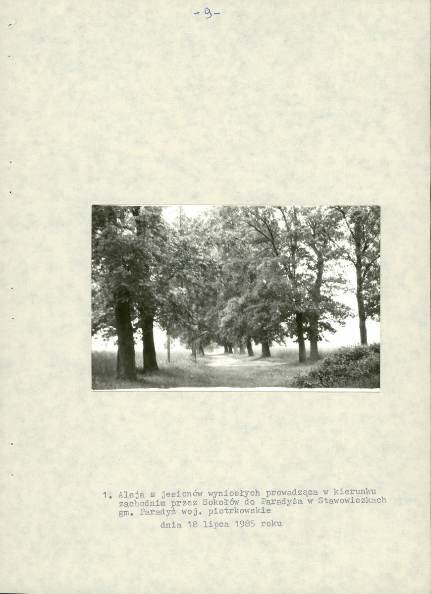 EP - Ewidencja parkowa, skan nr 17