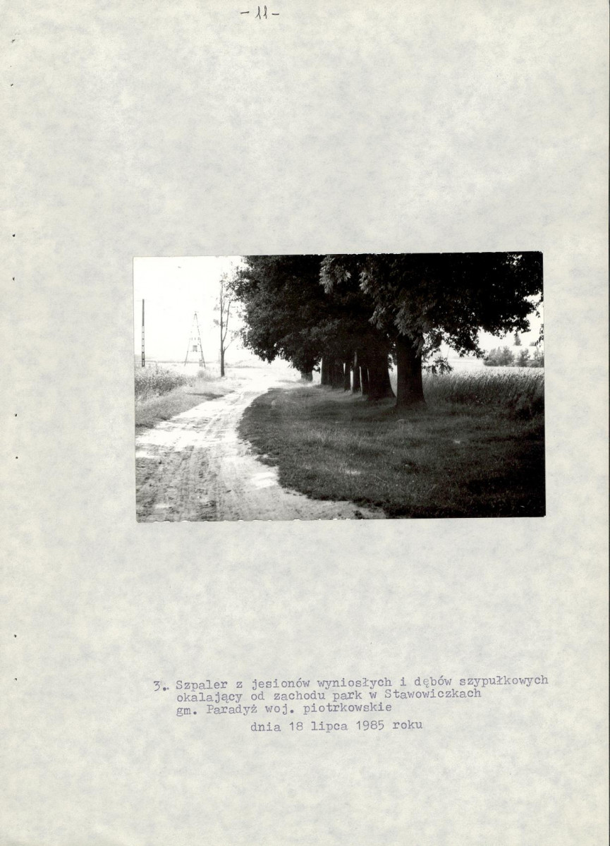 EP - Ewidencja parkowa, skan nr 19