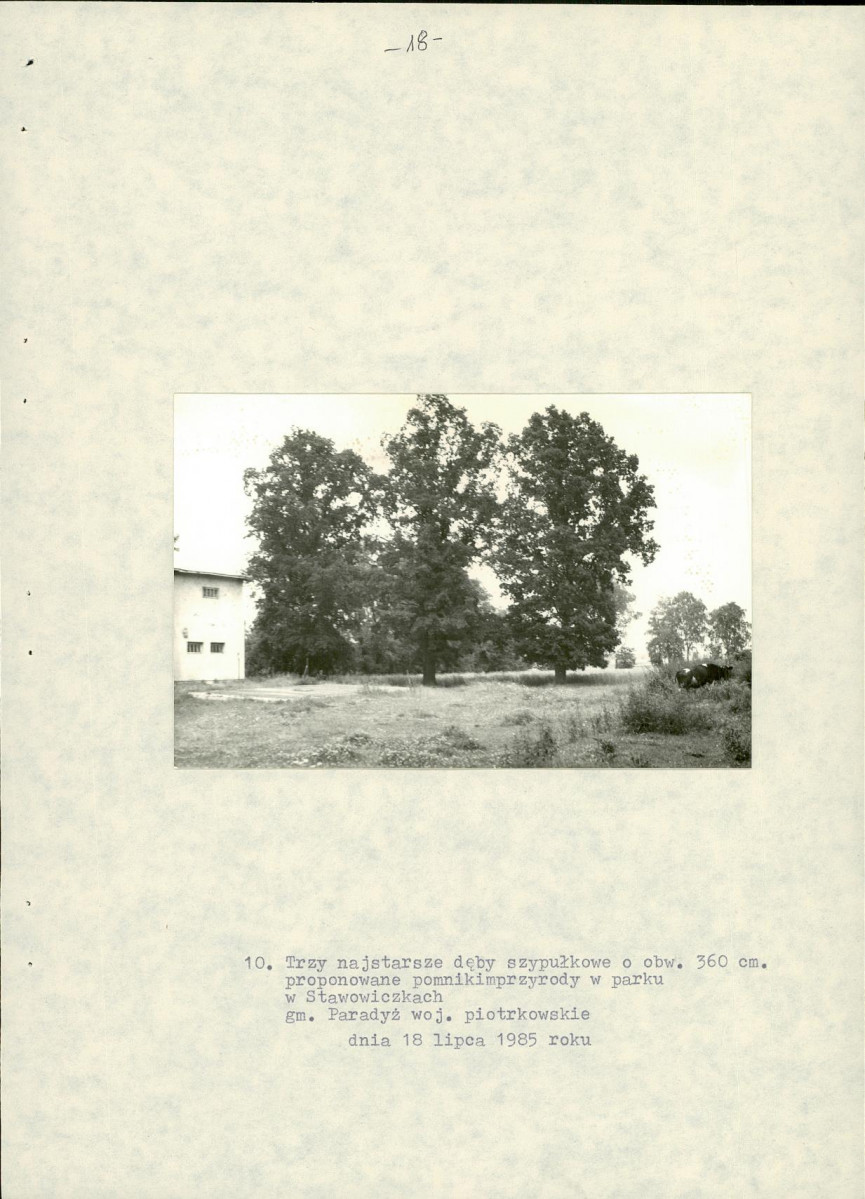 EP - Ewidencja parkowa, skan nr 26