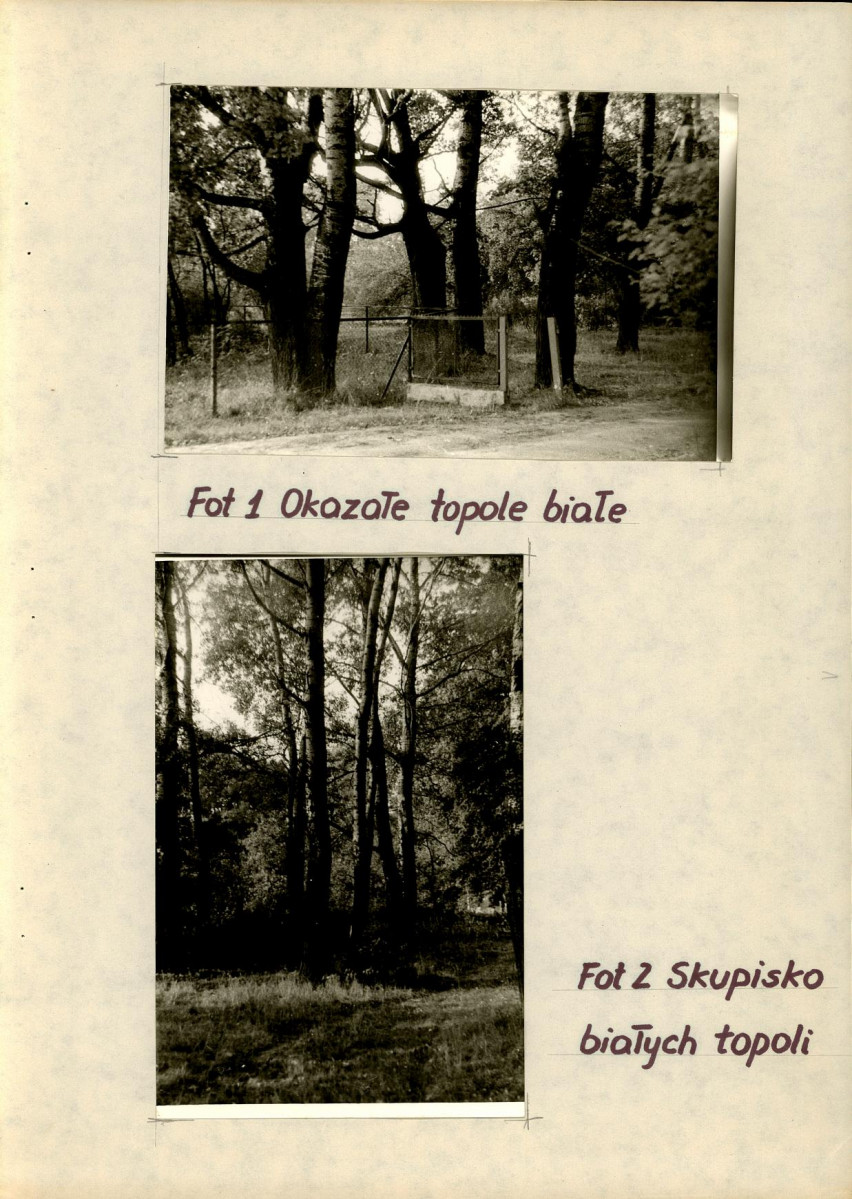 EP - Ewidencja parkowa, skan nr 16