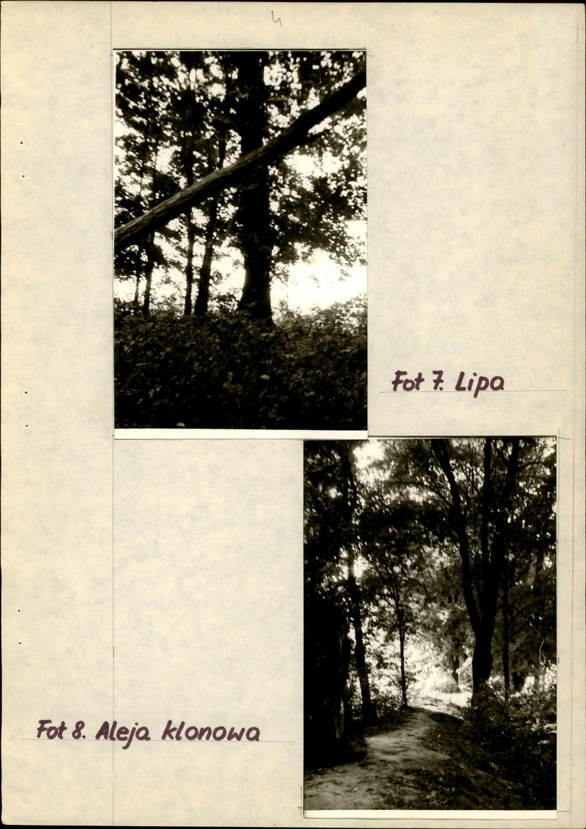 EP - Ewidencja parkowa, skan nr 19