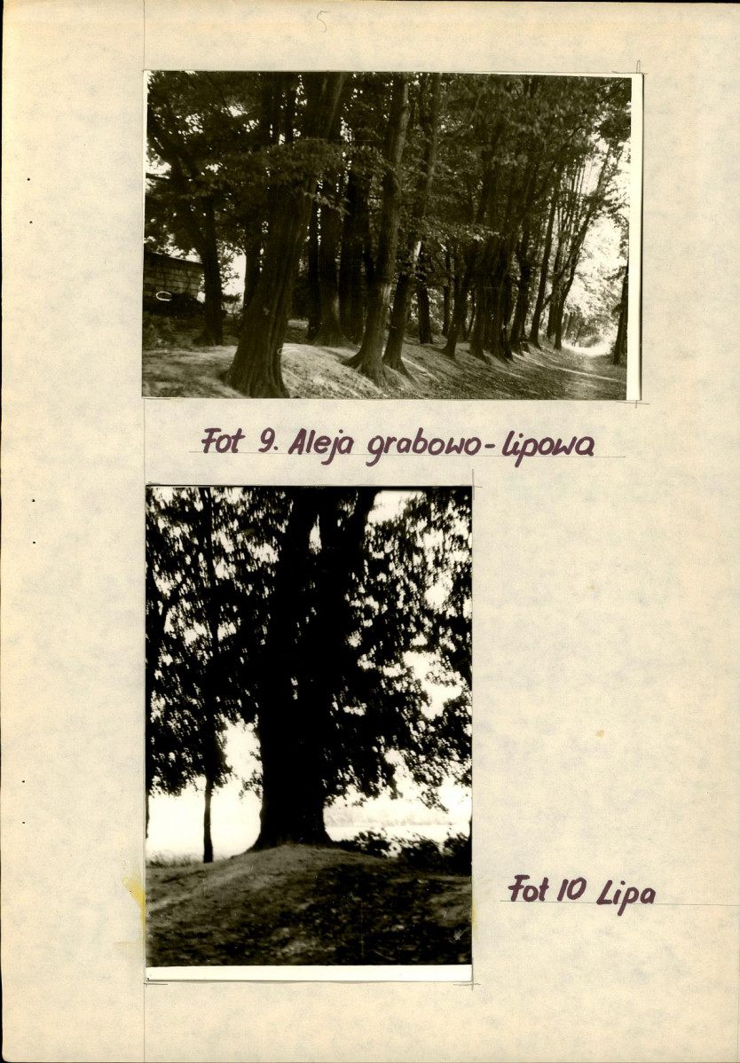EP - Ewidencja parkowa, skan nr 20