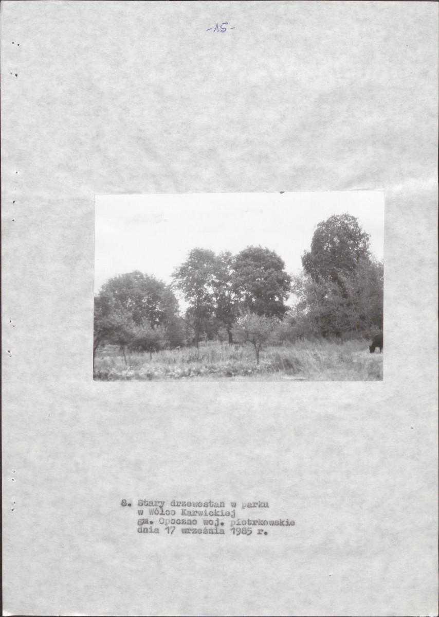 EP - Ewidencja parkowa, skan nr 22
