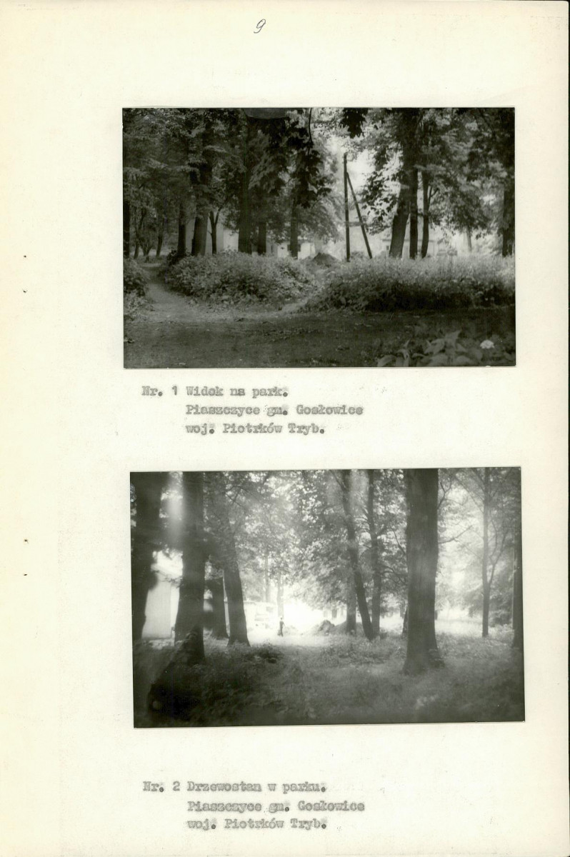 EP - Ewidencja parkowa, skan nr 17